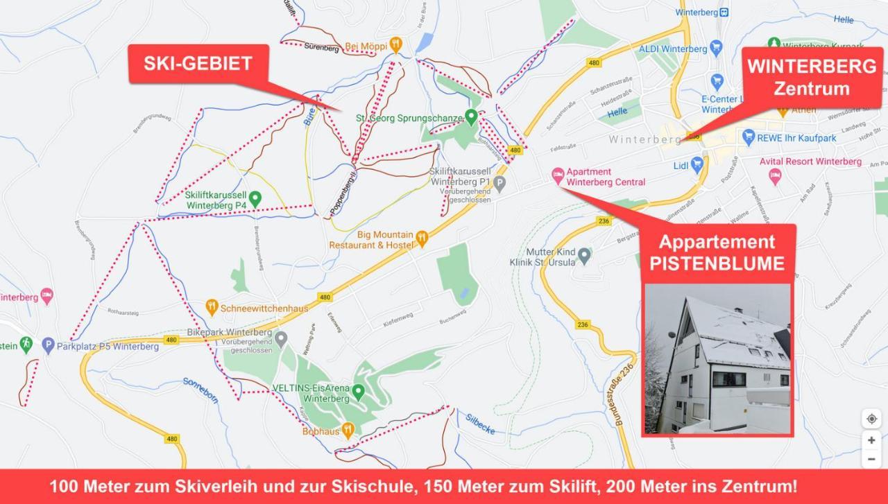 Pistenblume Apartment - Skipiste, Stadtzentrum Winterberg Exteriör bild